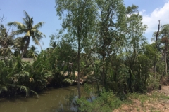7330 27-3-19 pond