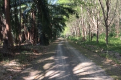 7335 27-3-19 shady road