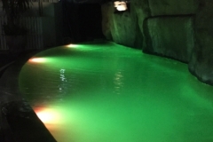 7347 27-3-19 pond