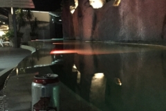 7349 27-3-19 pond