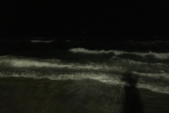 7356 27-3-19 evening shore
