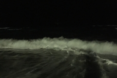 7357 27-3-19 evening shore