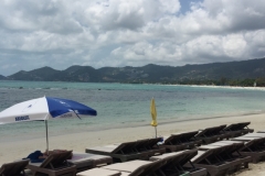 7359 28-3-19 beach