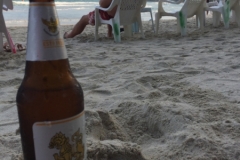 7363 28-3-19 beach