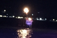 7375 28-3-19 lights