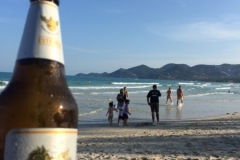 7395 29-3-19 beach