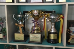 7431 1-4-19 trophy shelves