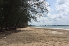 7453 2-4-19 beach