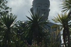 7457 2-4-19 buddha