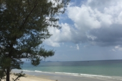 7469 3-4-19 beach