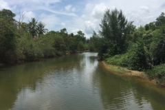 7473 3-4-19 river