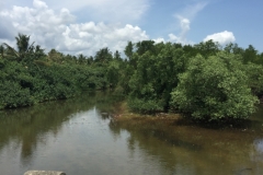 7474 3-4-19 river