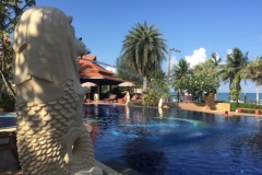 7477 3-4-19 pool