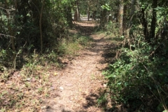 7498 5-4-19 path