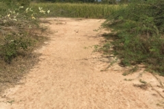 7515 7-4-19 path