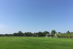 7549 9-4-19 field