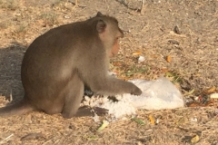 7565 10-4-19 feeding time