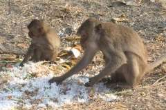 7566 10-4-19 feeding time