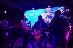 7860 17-4-19  band