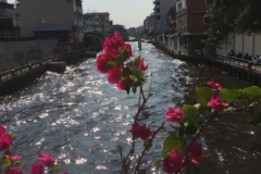 7866 18-4-19  river