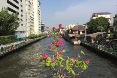 7867 18-4-19  river
