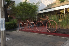 7886 18-4-19 cycle art