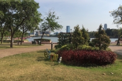 7905 19-4-19 park