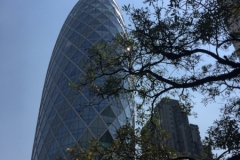 7919  21-4-19 building