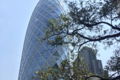 7920  21-4-19 building