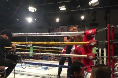 7924  21-4-19 boxing