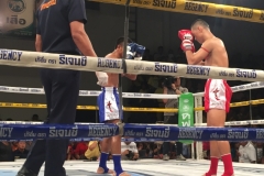 7926  21-4-19 boxing