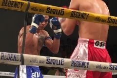 7929  21-4-19 boxing