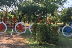 7932  21-4-19 cycle art