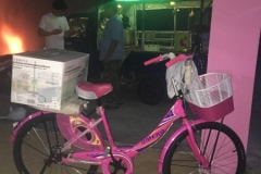 7954 22-4-19 pink bike
