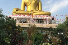 7977 24-4-19 Buddha statue