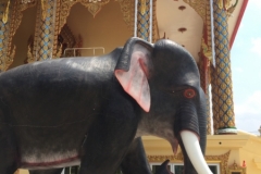 7980 24-4-19 elephant statue