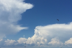 8071 29-4-19 sky