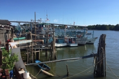 8074 29-4-19 river