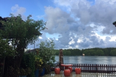 8101 30-4-19 river