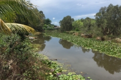 8103 30-4-19 river