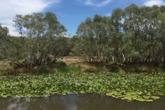 8104 30-4-19 river