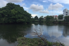 8110 30-4-19 river