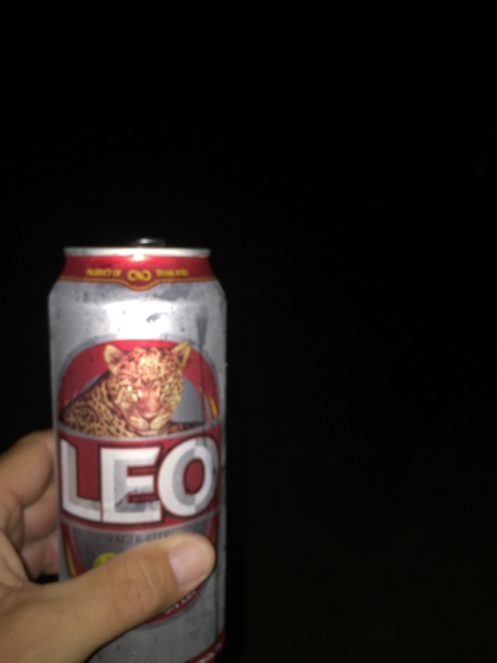 6780 8-3-19 Leo beer