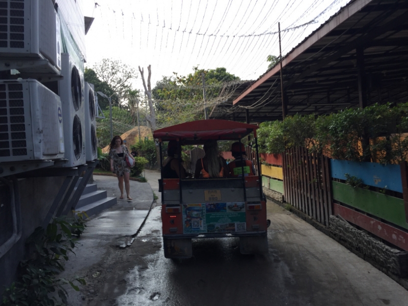 6831 13-3-19 catching the tuktuk