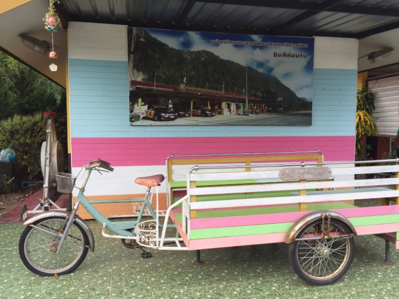6847 13-3-19 tricycle