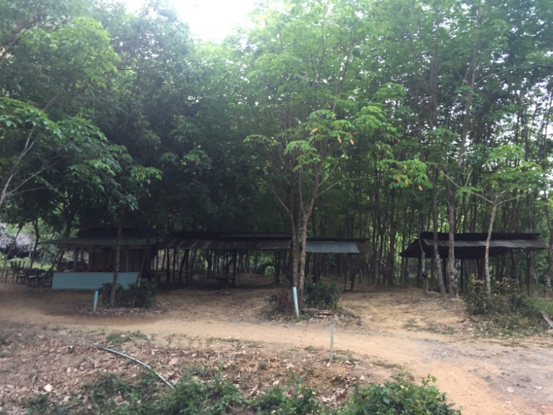 6851 14-3-19 shelter