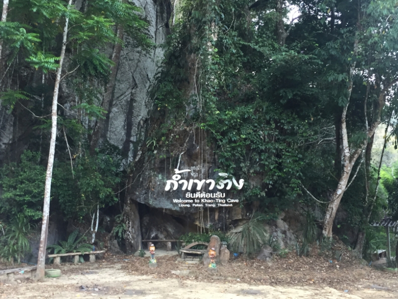 6852 14-3-19 cave