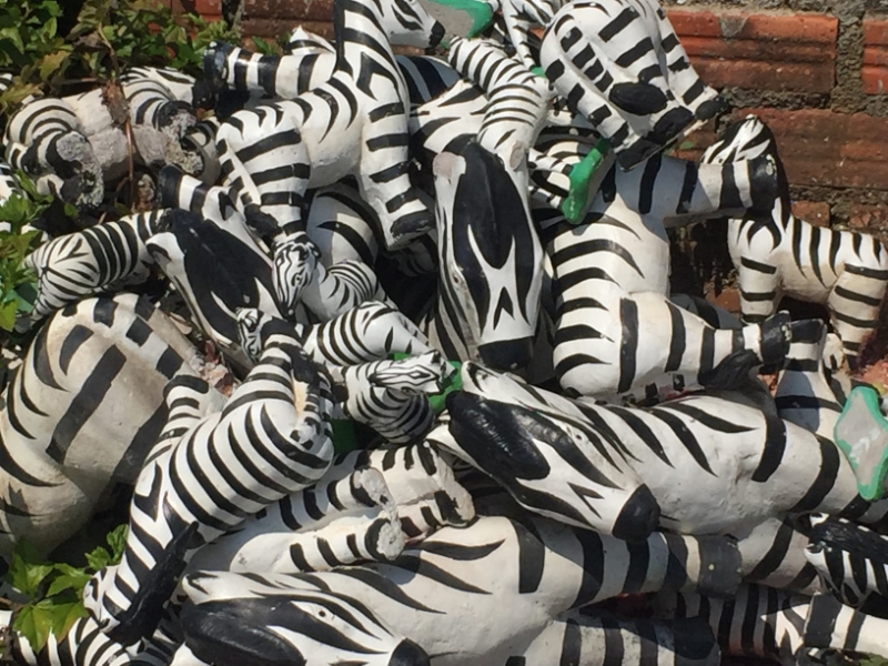 6871 14-3-19 zebras