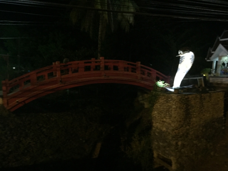 6909 15-3-19 Cobra bridge