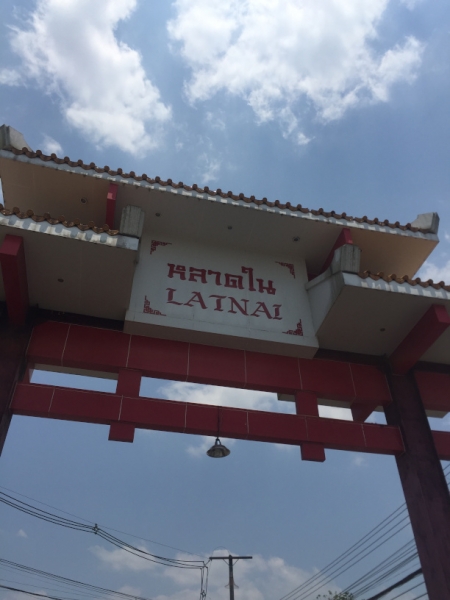 6919 16-3-19 Latnai